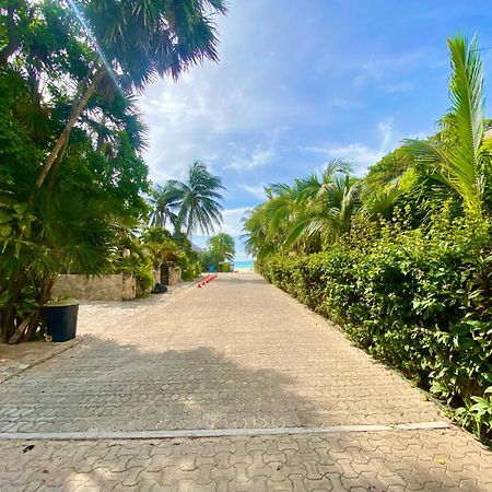 Villa Almendra Playacar 1 Playa del Carmen Dış mekan fotoğraf