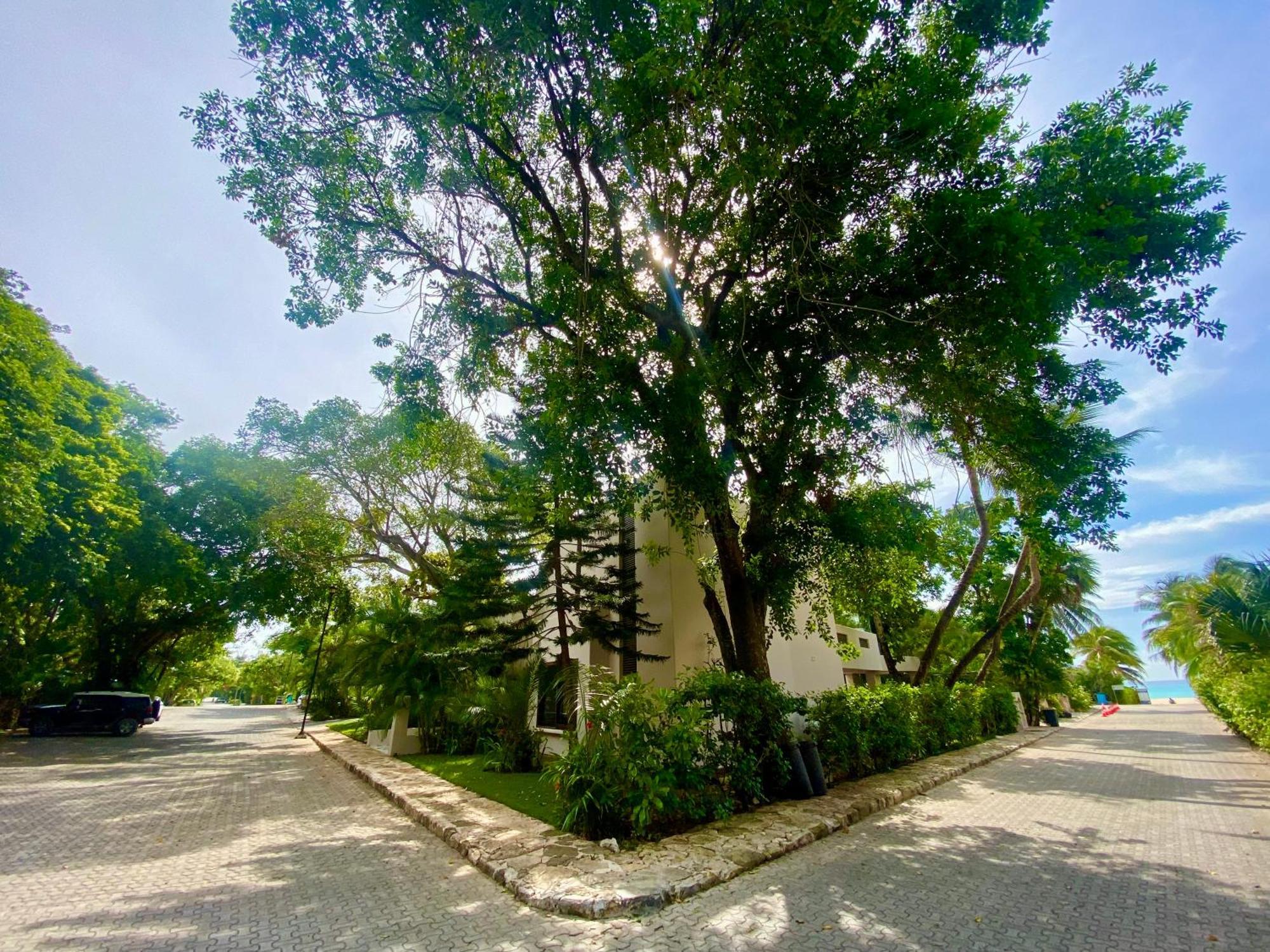 Villa Almendra Playacar 1 Playa del Carmen Dış mekan fotoğraf